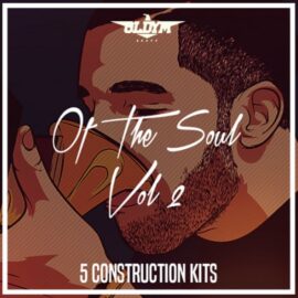 OldyM Beatz Of The Soul Vol.2 [WAV, MiDi] (Premium)