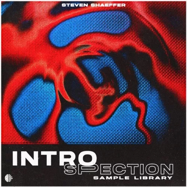 Steven Shaeffer INTROSPECTION (Sample Library) [WAV]