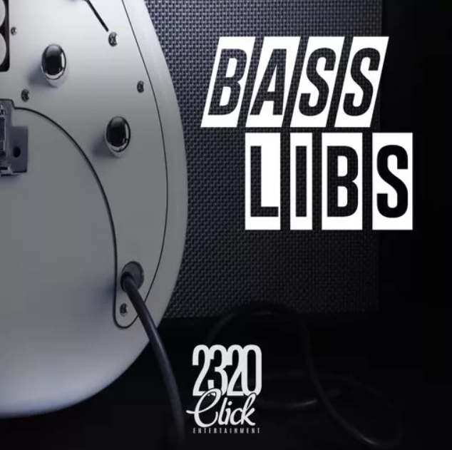 Tim TLee Waites BASS LIBS [WAV]