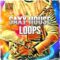 Toolbox Samples Saxy House Loops [WAV] (Premium)