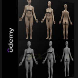 UDEMY – FEMALE ANATOMY SCULPTING IN BLENDER COURSE (Premium)