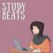 Whitenoise Records Study Beats [WAV] (Premium)