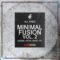 Dirty Music Minimal Fusion Vol. 2 All Fred [WAV] (Premium)