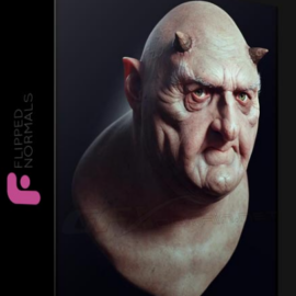 FLIPPED NORMALS – REALISTIC CHARACTER PORTRAIT MASTERCLASS (Premium)