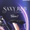 HOOKSHOW Saxy RnB Vol 1 [WAV] (Premium)