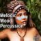 AudioFriend Melodic Wood Percussion [WAV] (Premium)