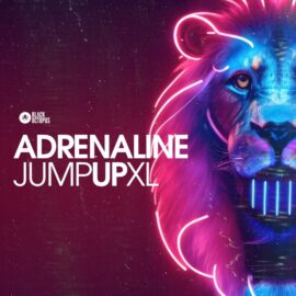 Black Octopus Sound Adrenaline Jump Up XL [WAV, Synth Presets] (Premium)