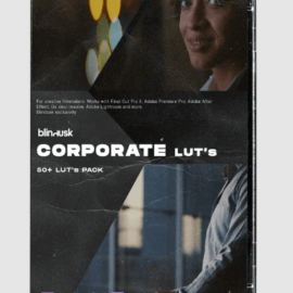 Blindusk CORPORATE LUTs (Premium)