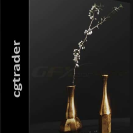 CGTRADER – ALUMINIUM VASES WITH CHERRY BRANCH BY ZARA HOME (premium)