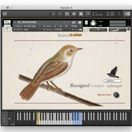 Loops De La Creme Songbird Virtuoso [KONTAKT] (Premium)