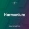 Lost Stories Academy Harmonium MEGA Sample Pack [WAV] (Premium)