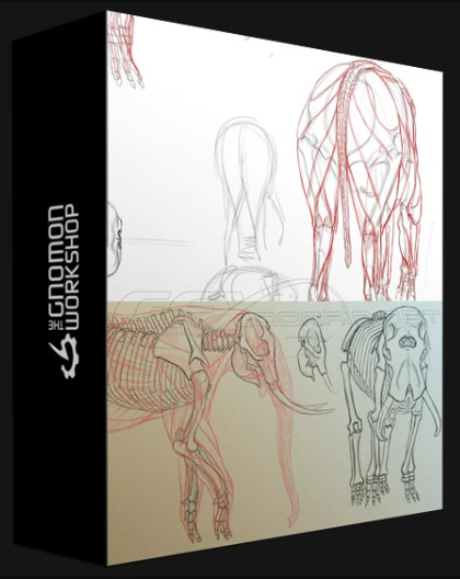 THE GNOMON WORKSHOP – ELEPHANT ANATOMY VOL. 1