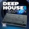 WA Production Deep House for Babylon [Synth Presets] (Premium)