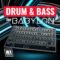 WA Production Drum & Bass For Babylon [Synth Presets] (Premium)