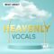 WA Production Heavenly Vocals [WAV] (Premium)