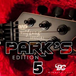 Big Citi Loops Park’s Edition 5 [WAV] (Premium)