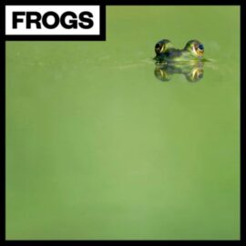 Big Room Sound Frogs [WAV] (Premium)