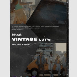 Blindusk VINTAGE LUTS (Premium)