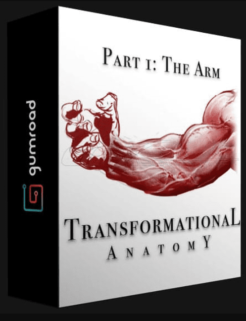 GUMROAD – TRANSFORMATIONAL ANATOMY PART 1