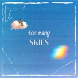 Lazerdisk Too Many Skies [WAV] (Premium)