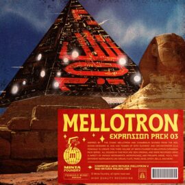 Minta Foundry Mellotron Expansion 03 [Synth Presets] (Premium)