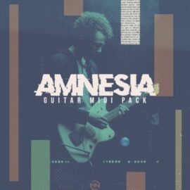 New Nation Amnesia Guitar [WAV, MiDi] (Premium)