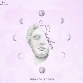 New Nation Broken MIDI Collection [WAV, MiDi] (Premium)