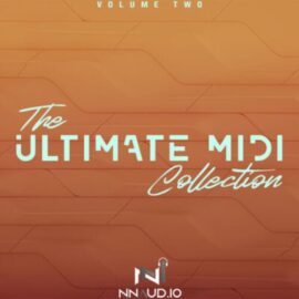 New Nation Ultimate MIDI Library Collection 2 [MiDi, WAV] (Premium)