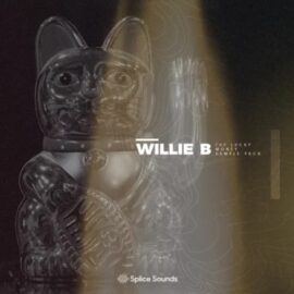 Splice Sounds Willie B The Lucky Money Sample Pack [WAV] (Premium)