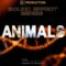 Symphonic Production Animals SFX Series [WAV] (Premium)