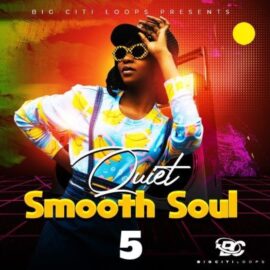 Big Citi Loops Quiet Smooth Soul 5 [WAV] (Premium)