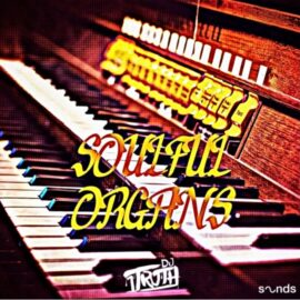 DJ 1Truth Soulful Organs [WAV] (Premium)