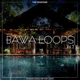 Dynasty Loops Bawa 2 [WAV] (Premium)