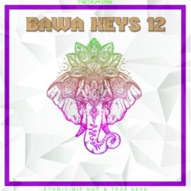 Dynasty Loops Bawa Keys 12 [WAV] (Premium)