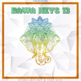 Dynasty Loops Bawa Keys 13 [WAV] (Premium)