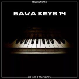 Dynasty Loops Bawa Keys 14 [WAV] (Premium)