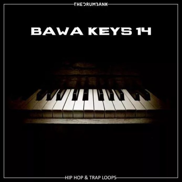 Dynasty Loops Bawa Keys 14 [WAV]