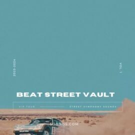 Lazerdisk Beat Street Vault [WAV] (Premium)