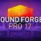 MAGIX SOUND FORGE Pro 17 v17.0.0.81 [WiN] (Premium)