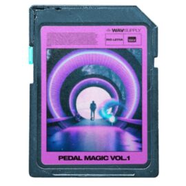 WavSupply Rio Leyva Pedal Magic Vol.1 (Phrase Kit) [WAV] (Premium)