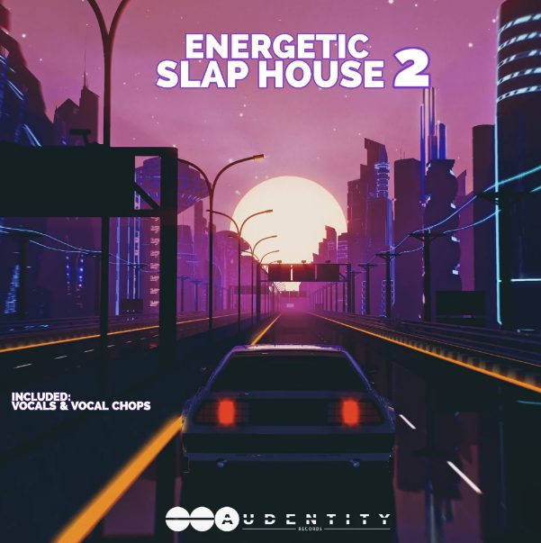 Audentity Records Energetic Slap House 2 [WAV, Synth Presets]