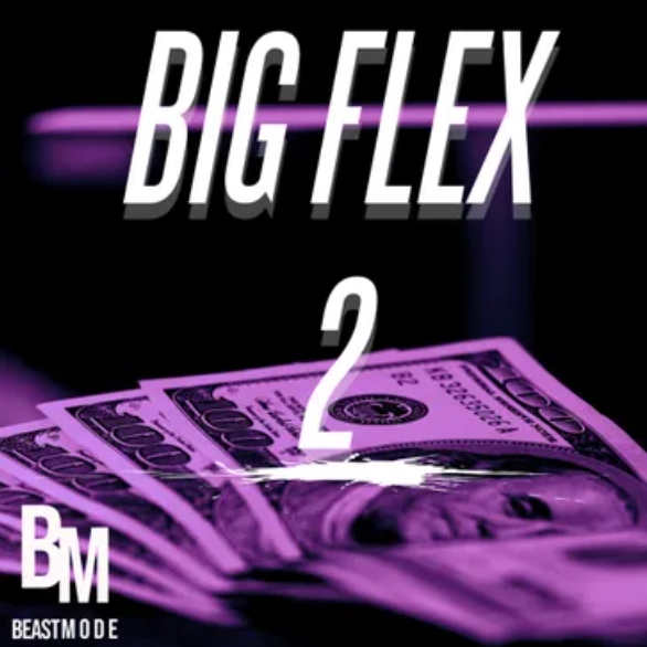 Beast Mode Big Flex 2 [WAV]