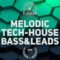 Beatrising Flagman Melodic Tech House Bass & Leads Samples [WAV] (Premium)