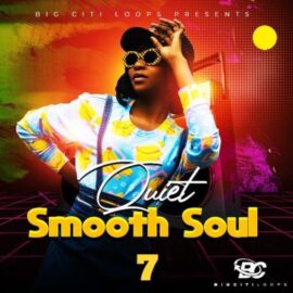 Big Citi Loops Quiet Smooth Soul 7 [WAV] (Premium)