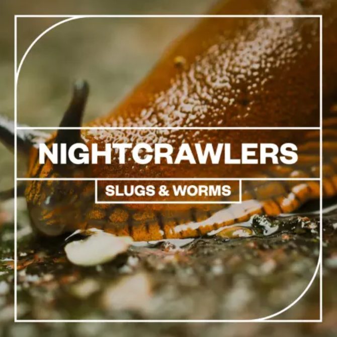 Blastwave FX Nightcrawlers: Slugs and Worms [WAV]