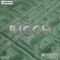 Dynasty Loops Ricch [WAV] (Premium)