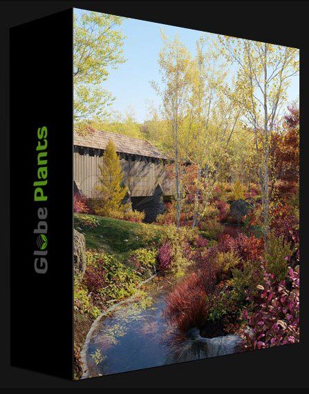 GLOBE PLANTS – BUNDLE 20 – AUTUMN PLANTS