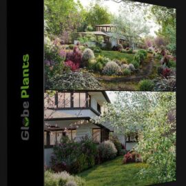 GLOBE PLANTS – BUNDLE 27 – NORTH AMERICAN HOME & GARDEN PLANTS (Premium)