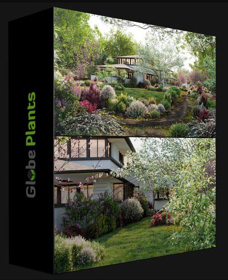 GLOBE PLANTS – BUNDLE 27 – NORTH AMERICAN HOME & GARDEN PLANTS