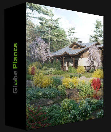 GLOBE PLANTS – BUNDLE 28 – FRENCH HOME & GARDEN PLANTS